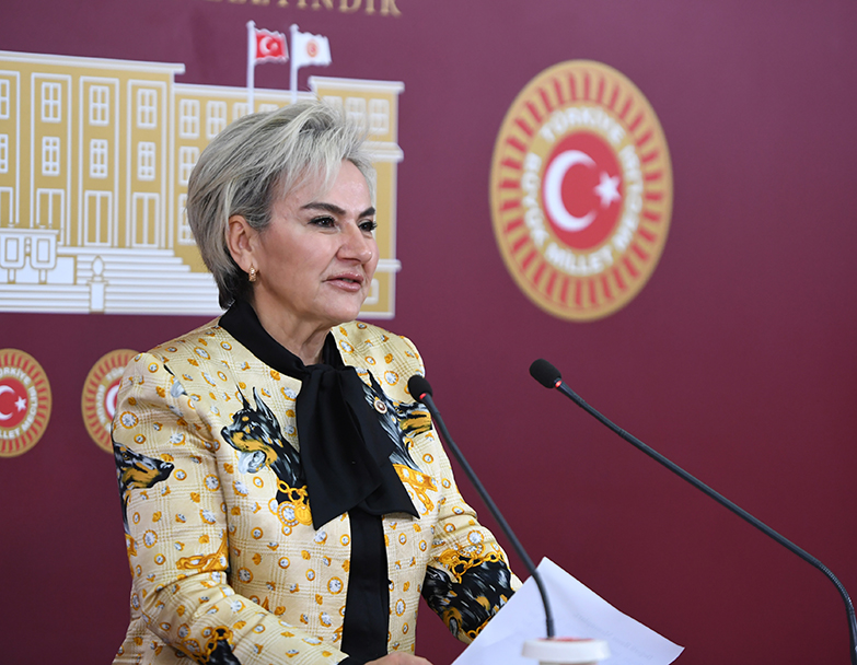 DSC_3727 CHP Milletvekili Nimet Özdemir'den, patili dostlar için yeni kanun teklifi