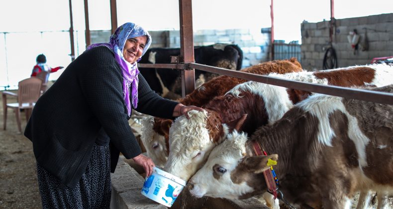 Kızılay’dan Depremzede Çiftçiye 70.8 Milyon Destek